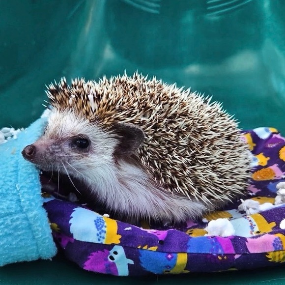 ๐ฅ is LIVE! - Picture 3 of 4